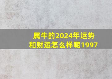 属牛的2024年运势和财运怎么样呢1997