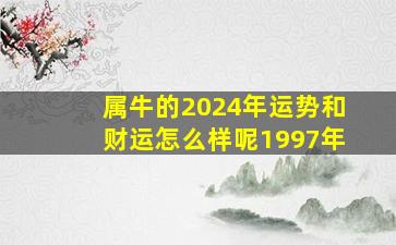 属牛的2024年运势和财运怎么样呢1997年