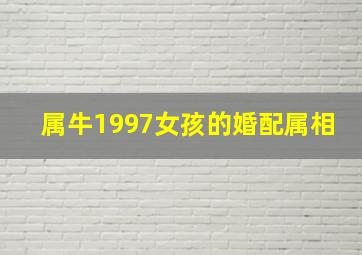 属牛1997女孩的婚配属相