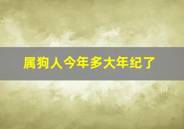 属狗人今年多大年纪了