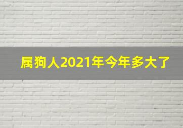 属狗人2021年今年多大了