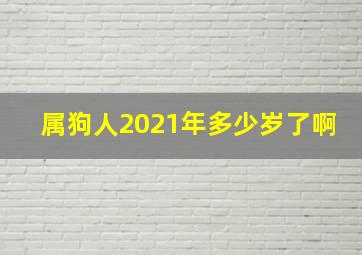 属狗人2021年多少岁了啊