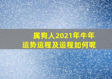 属狗人2021年牛年运势运程及运程如何呢