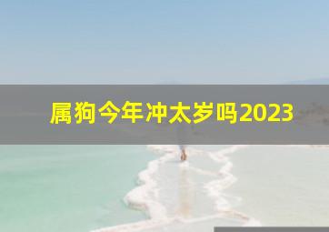 属狗今年冲太岁吗2023