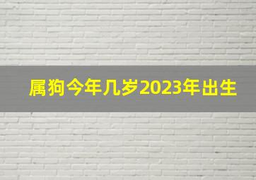 属狗今年几岁2023年出生