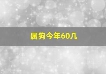 属狗今年60几