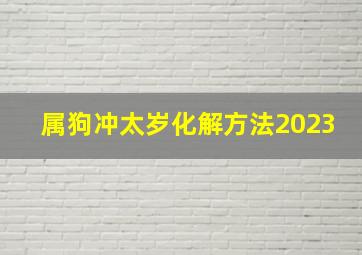 属狗冲太岁化解方法2023