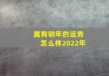 属狗明年的运势怎么样2022年