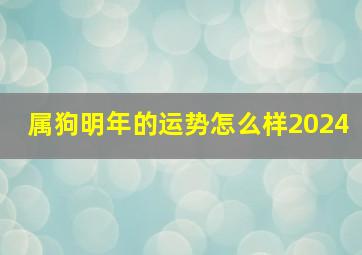 属狗明年的运势怎么样2024