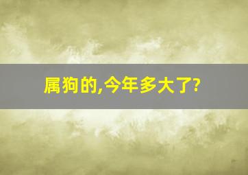 属狗的,今年多大了?