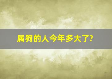 属狗的人今年多大了?