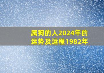 属狗的人2024年的运势及运程1982年