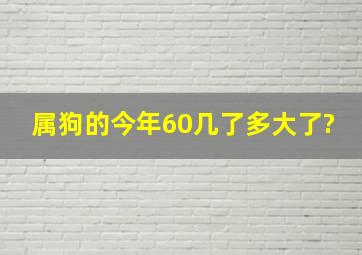 属狗的今年60几了多大了?