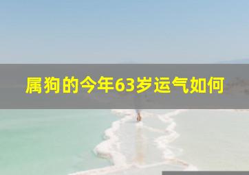 属狗的今年63岁运气如何