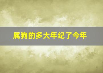 属狗的多大年纪了今年