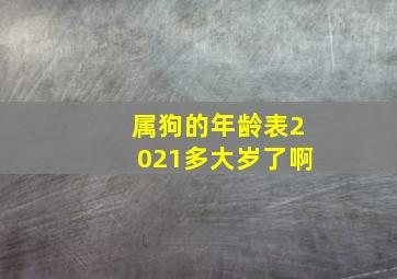 属狗的年龄表2021多大岁了啊