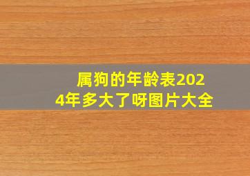 属狗的年龄表2024年多大了呀图片大全