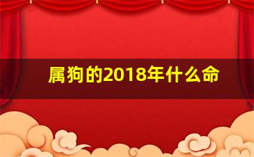 属狗的2018年什么命