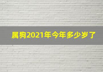 属狗2021年今年多少岁了