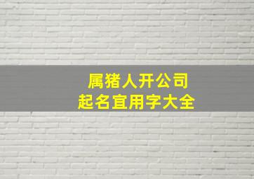 属猪人开公司起名宜用字大全