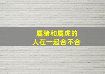 属猪和属虎的人在一起合不合