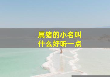 属猪的小名叫什么好听一点