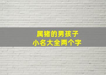 属猪的男孩子小名大全两个字