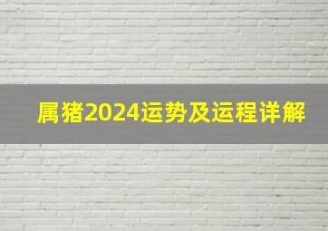 属猪2024运势及运程详解