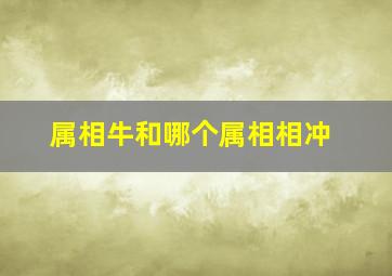 属相牛和哪个属相相冲