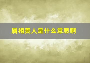 属相贵人是什么意思啊