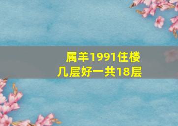 属羊1991住楼几层好一共18层