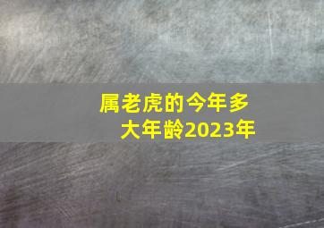 属老虎的今年多大年龄2023年