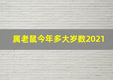 属老鼠今年多大岁数2021