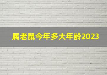 属老鼠今年多大年龄2023