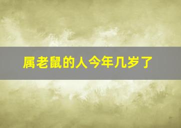 属老鼠的人今年几岁了