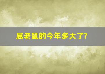 属老鼠的今年多大了?