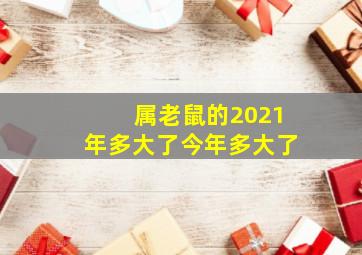 属老鼠的2021年多大了今年多大了