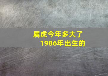 属虎今年多大了1986年出生的