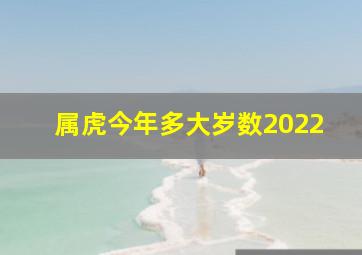 属虎今年多大岁数2022