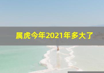 属虎今年2021年多大了