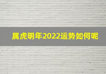 属虎明年2022运势如何呢