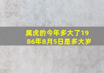 属虎的今年多大了1986年8月5日是多大岁