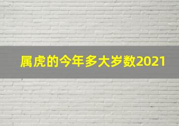 属虎的今年多大岁数2021