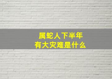 属蛇人下半年有大灾难是什么