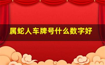 属蛇人车牌号什么数字好