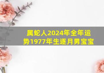 属蛇人2024年全年运势1977年生逐月男宝宝