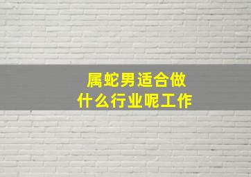 属蛇男适合做什么行业呢工作