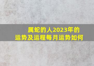 属蛇的人2023年的运势及运程每月运势如何