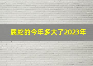 属蛇的今年多大了2023年