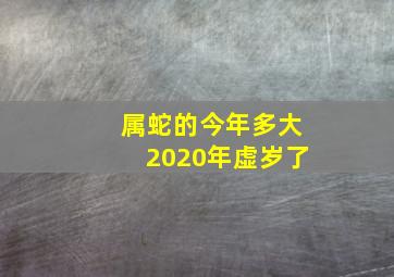 属蛇的今年多大2020年虚岁了